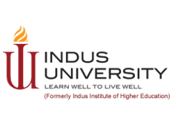 indus-university-partner